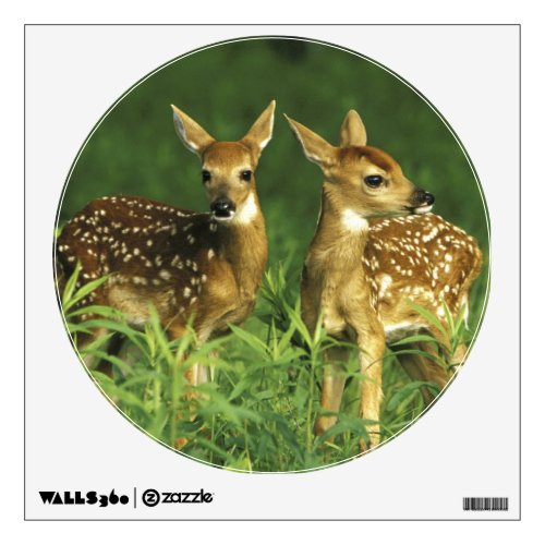 North America USA Minnesota White_tailed 2 Wall Sticker