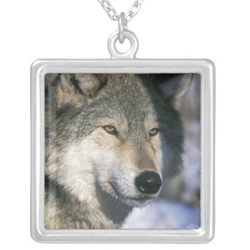 North America USA Minnesota Wolf Canis 3 Silver Plated Necklace