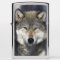 North America, USA, Minnesota. Wolf Canis