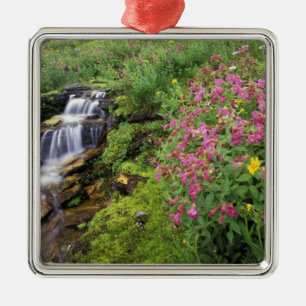 North America, USA, Montana, Glacier National 4 Metal Ornament