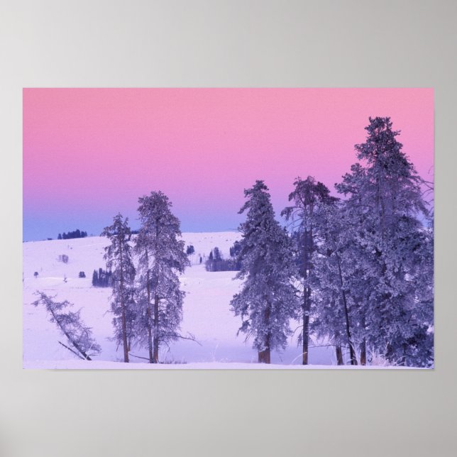 North America, USA, Montana, Yellowstone Poster (Front)