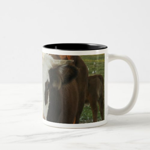 North America USA New Hampshire A bull on Two_Tone Coffee Mug