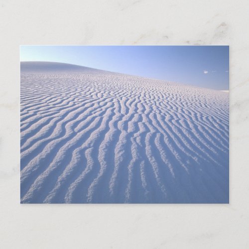 North America USA New Mexico White Sand Dunes Postcard