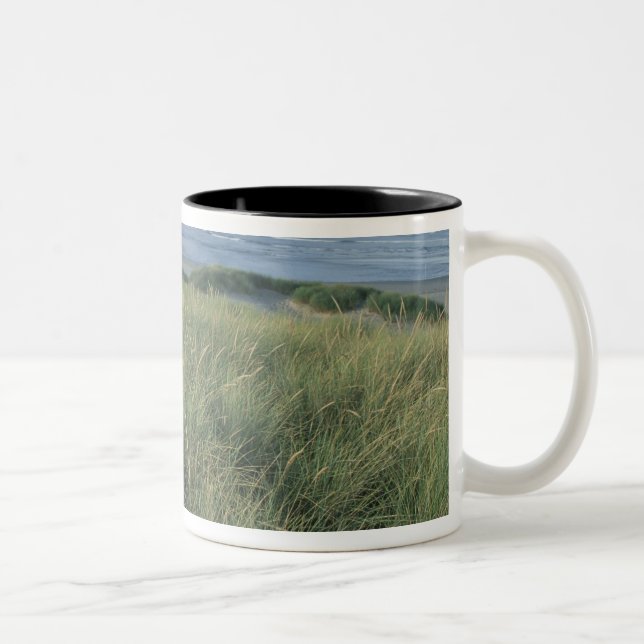 North America, USA, Oregon, Canon Beach, Two-Tone Coffee Mug (Right)