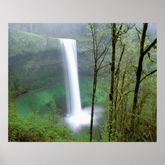 North America, USA, Oregon, Silver Falls State Poster (Front)