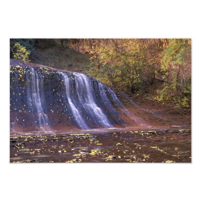 North America, USA, Utah, Zion National Park. 2 Photo Print (Front)