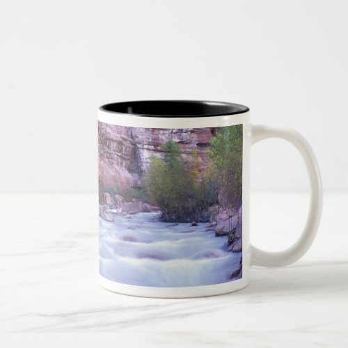 North America USA Utah Zion National Park 2 Two_Tone Coffee Mug