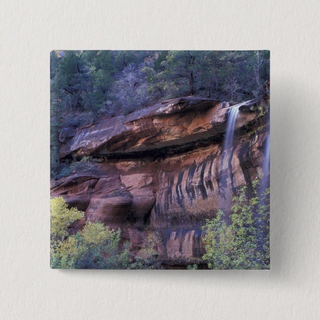 North America, USA, Utah, Zion National Park. 3 Button (Front)