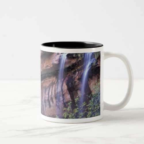 North America USA Utah Zion National Park 3 Two_Tone Coffee Mug