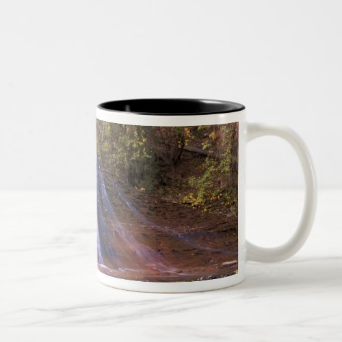 North America USA Utah Zion National Park Two_Tone Coffee Mug