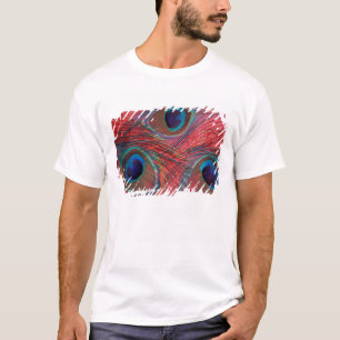 North America, USA, WA, Redmond, Peacock T-Shirt