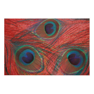 North America, USA, WA, Redmond, Peacock Wood Wall Art