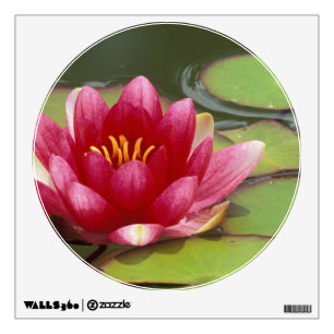 North America, USA, WA, Seattle, Woodland Park 2 Wall Sticker