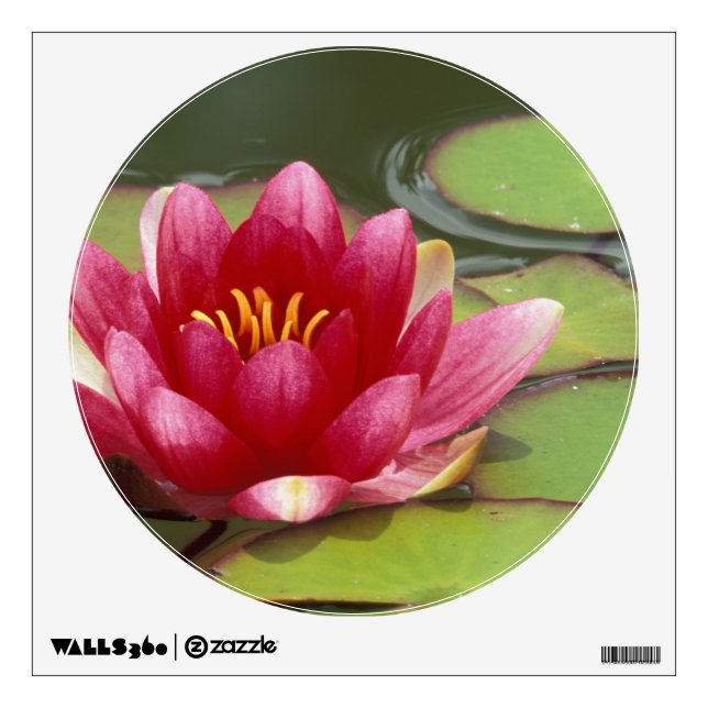 North America, USA, WA, Seattle, Woodland Park 2 Wall Sticker (Front)