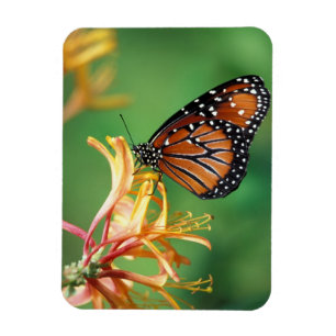 North America, USA, WA, Seattle, Woodland Park Magnet