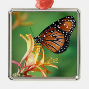 North America, USA, WA, Seattle, Woodland Park Metal Ornament
