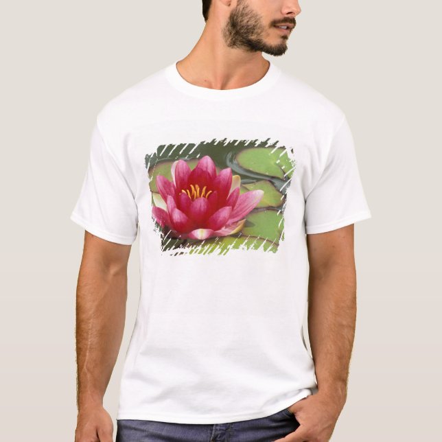 North America, USA, WA, Seattle, Woodland Park T-Shirt (Front)