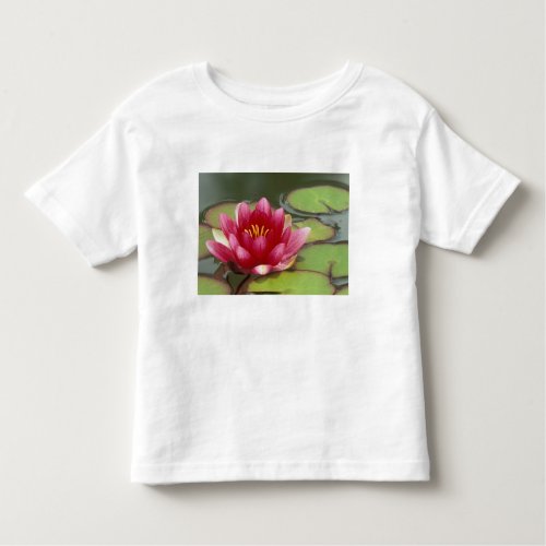 North America USA WA Seattle Woodland Park Toddler T_shirt