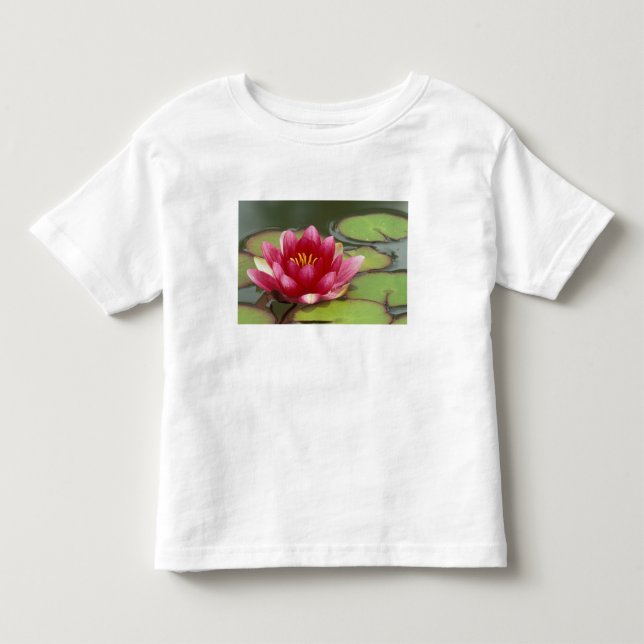 North America, USA, WA, Seattle, Woodland Park Toddler T-shirt (Front)