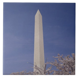 North America, USA, Washington D.C.. Washington Ceramic Tile