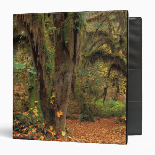 North America; USA; Washington, Moss-Covered Binder