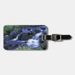 North America, USA, Washington, Mt. Rainier 3 Luggage Tag