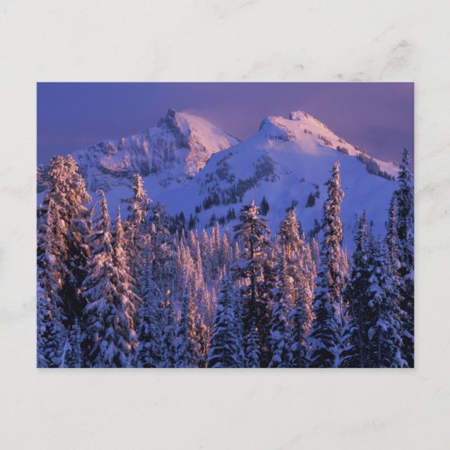 North America, USA, Washington, Mt. Rainier 4 Postcard (Front)