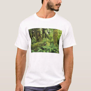 North America, USA, Washington, Olympic 3 T-Shirt