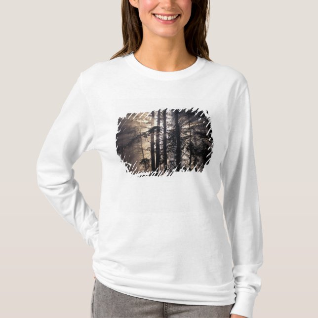 North America, USA, Washington, Olympic NF, T-Shirt (Front)