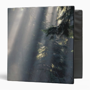 North America, USA, Washington, Olympic NP, Binder