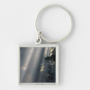 North America, USA, Washington, Olympic NP, Keychain