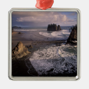 North America, USA, Washington, Olympic NP, Metal Ornament