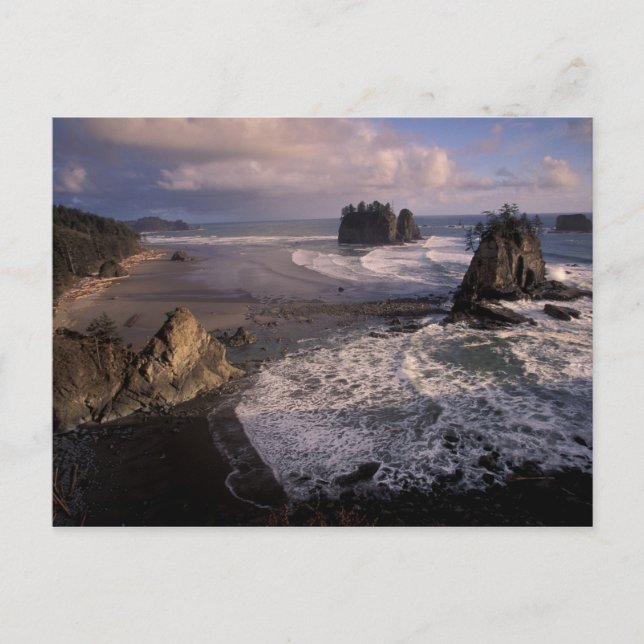 North America, USA, Washington, Olympic NP, Postcard (Front)