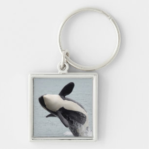 North America, USA, Washington, San Juan Keychain