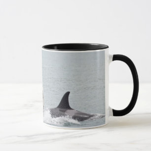North America, USA, Washington, San Juan Mug