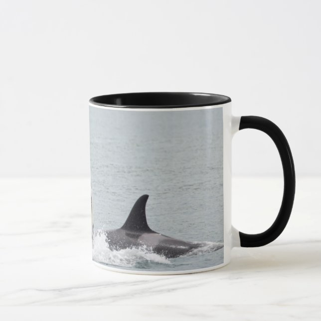 North America, USA, Washington, San Juan Mug (Right)