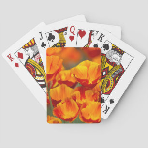 North America, USA, Washington, Seattle Poker Cards