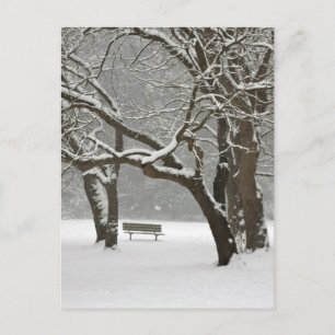 North America, USA, Washington, Seattle, Snow 2 Postcard