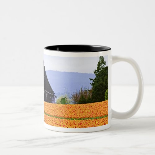 North America USA Washington Skagit Valley 2 Two_Tone Coffee Mug