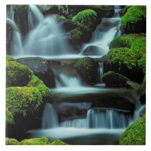 North America; USA; Washington, Sol Duc Cascade Tile