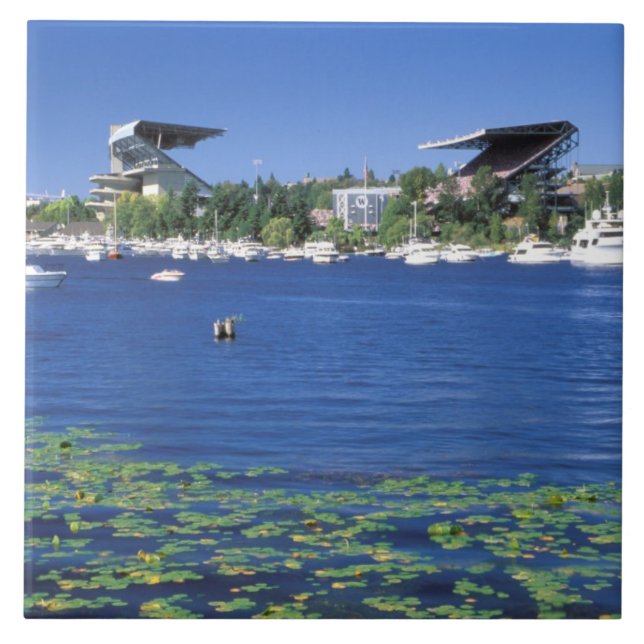 North America, USA, Washington State, Seattle, Ceramic Tile (Front)