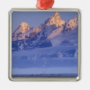 North America, USA, Wyoming, Grand Teton NP, 2 Metal Ornament