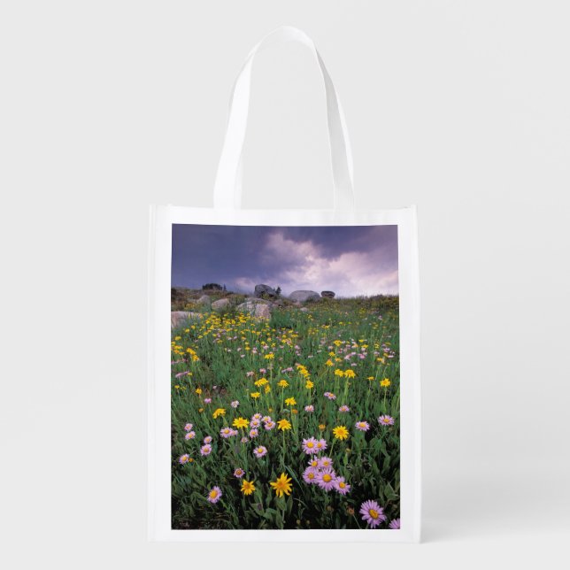 North America, USA, Wyoming, Yellowstone 2 Reusable Grocery Bag (Front)