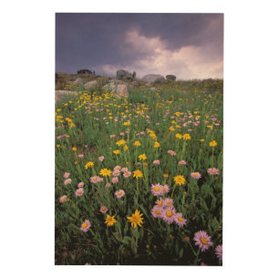 North America, USA, Wyoming, Yellowstone 2 Wood Wall Decor