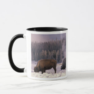 North America, USA, Wyoming, Yellowstone NP, Mug