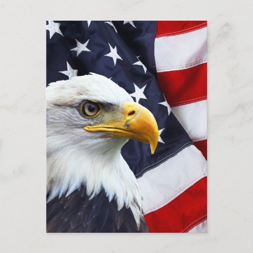 North American Bald Eagle on American flag Postcard