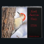North American Birds 2026 Calendar<br><div class="desc">12 Month Calendar featuring birds found in North America</div>