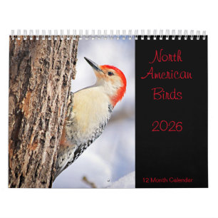 North American Birds 2026 Calendar