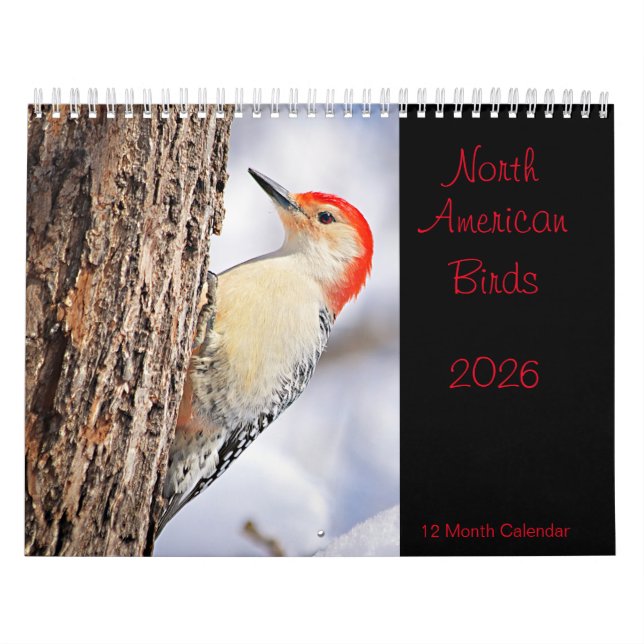 North American Birds 2026 Calendar (Cover)