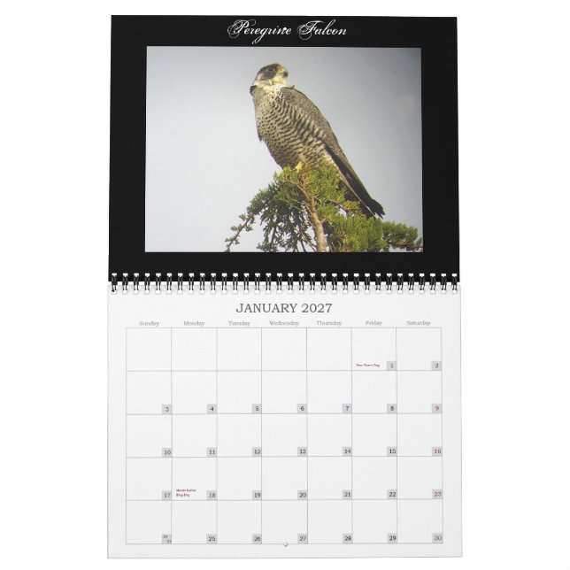 North American Birds Calendar (Jan 2027)